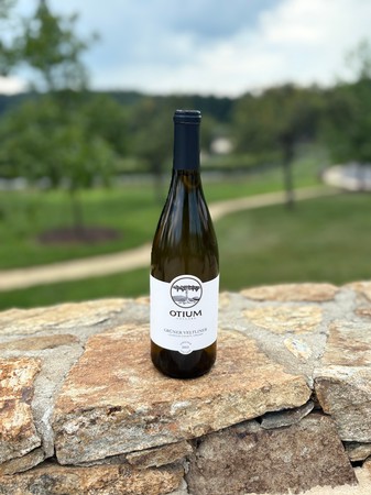 2022 Gruner Bottle