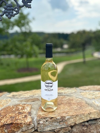 2022 Pinot Gris
