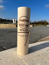 Birch Sleeve