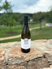 2022 Gruner Bottle